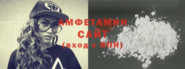 хмурый Ельня