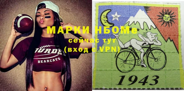 хмурый Ельня