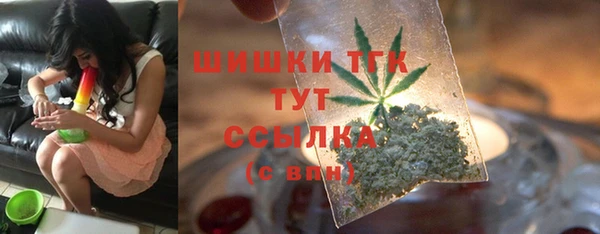 хмурый Ельня