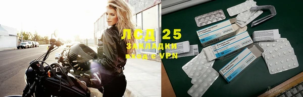 хмурый Ельня