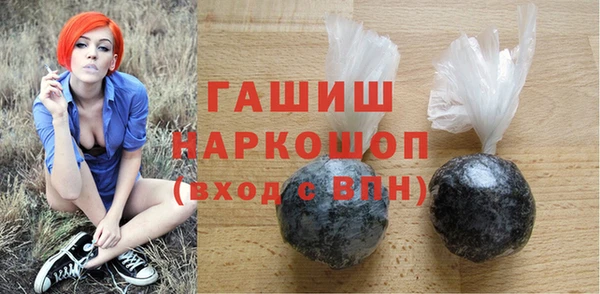хмурый Ельня