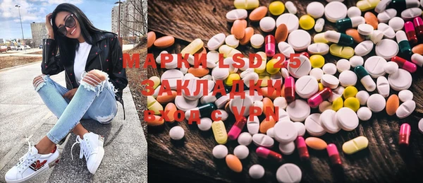 хмурый Ельня