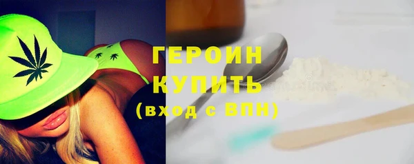 хмурый Ельня