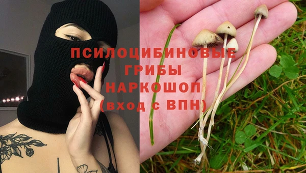 хмурый Ельня