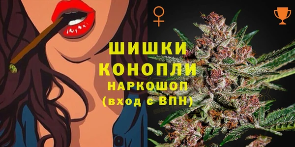 хмурый Ельня