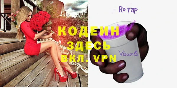 хмурый Ельня