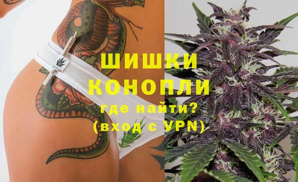 хмурый Ельня