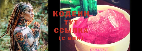 хмурый Ельня