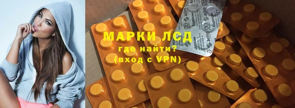 хмурый Ельня